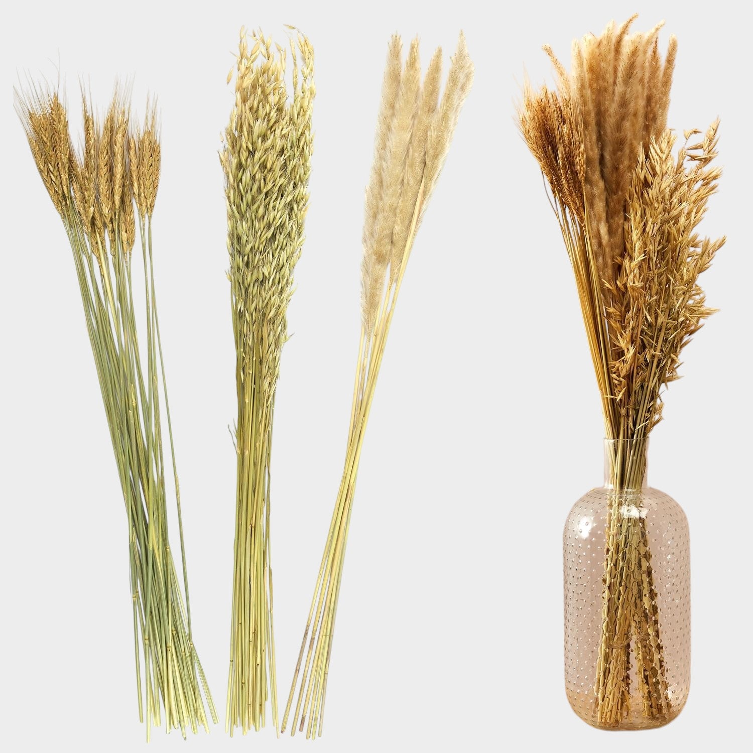 Bouquet de fleur séchée lot de 3