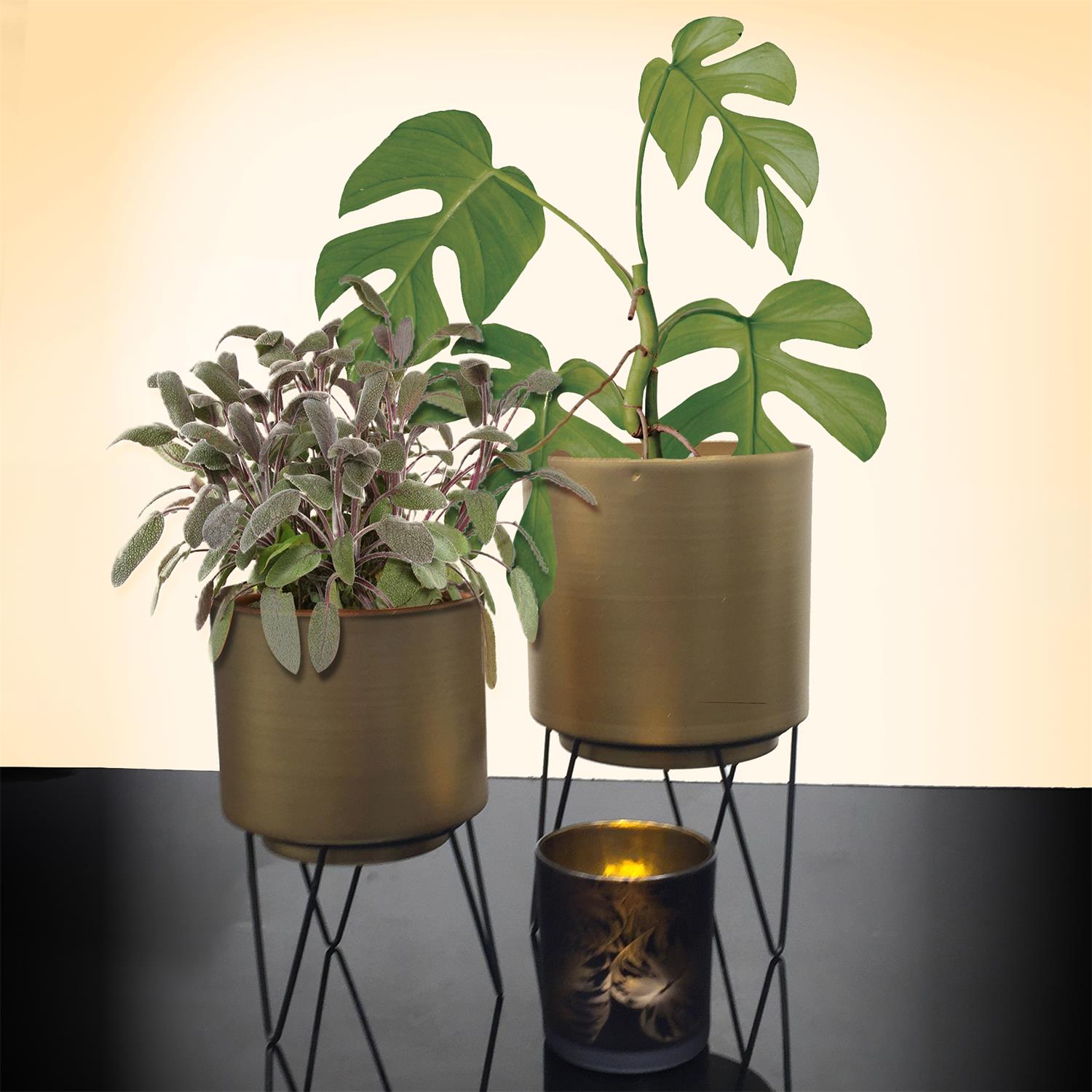 Pot de fleur pied filaire x2