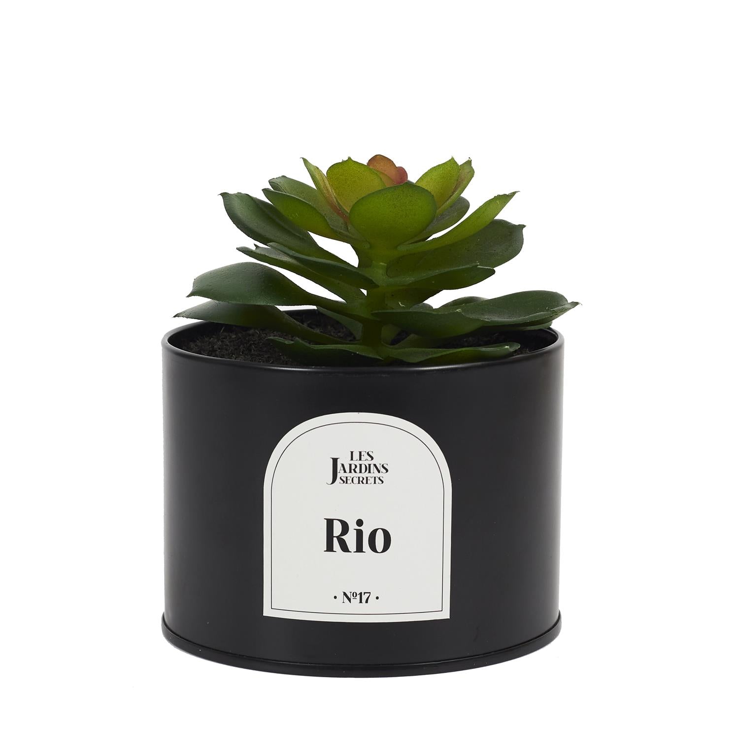 Plante artificielle oasis pot métal Lot de 4