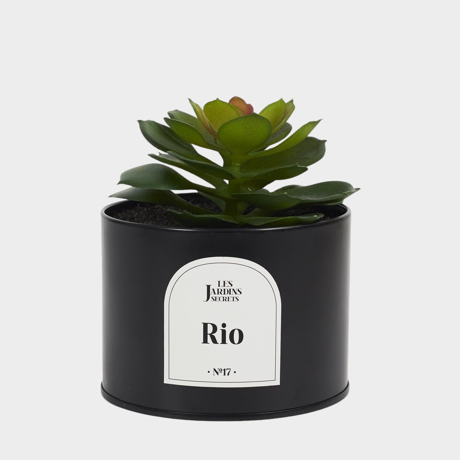 Plante artificielle oasis pot métal Rio