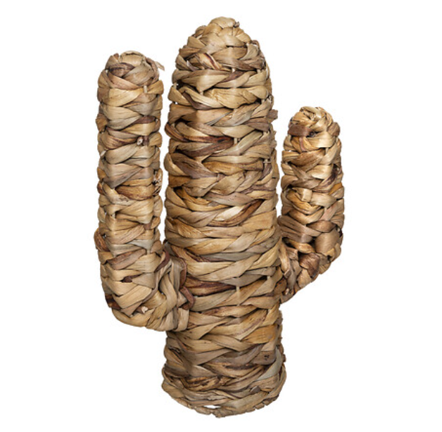 Cactus déco Hacienda